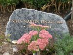 Niels Martin Tinggaard.JPG